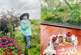 Cặp đôi nhạc sĩ - ca sĩ nổi tiếng Việt Nam có nhà vườn rộng 2.000m2 ở Đà Lạt, trong lẫn ngoài đều đẹp mê