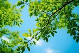4 thói quen giúp một người ngày càng tinh tế, thanh lịch hơn theo thời gian