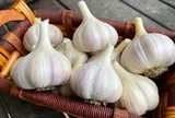 Tỏi bán đầy chợ nhưng có 4 củ này đừng mua rất phí tiền, biết rồi nhớ báo mọi người cùng biết nhé!