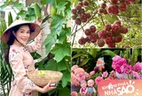 Vợ đẹp giỏi giang của Quyền Linh khoe vườn sân thượng tuyệt đẹp, truyền tình yêu hoa hồng cho nữ ca sĩ nổi tiếng