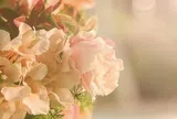 Người có nhiều phước lành, may mắn, nhìn cách ăn nói là biết