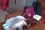Nghỉ hè mẹ gửi con sơ sinh về quê cho bà nội chăm, nào ngờ xem camera ở nhà liền không thể bình tĩnh