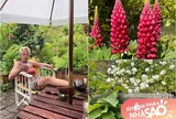 Khu vườn gần 300m2 của bố mẹ chồng ca sĩ Thu Phượng ở Hà Lan, ngập tràn hoa tuyệt đẹp