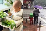 Cảnh các "búp măng non" tận tình phục vụ bố mẹ, dân tình cười đau ruột "thấy cũng tội mà thôi cũng kệ"