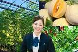 Mẹ đảm Hải Phòng ban ngày làm giám đốc ngân hàng, tối lên sân thượng làm nông dân, trồng khu vườn đẹp mê