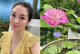 Hoa hậu Nguyễn Thị Huyền đích thị là "tay chơi sen" đáng nể: Nhiều giống hoa quý đua nhau bung nở trên tầng cao