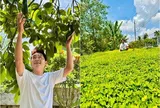 Choáng ngợp khu vườn "đại gia" rộng 3.000m2 ngập tràn quả ngọt tại miền Tây của nam thần màn ảnh Việt
