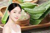 5 cách làm đẹp với nha đam giúp da bớt khô ráp, giảm cảm giác nóng rát ngày Hè