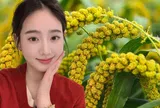 Loại hạt nhỏ xíu được ví như "ngũ cốc vàng": Ăn đều giúp giữ dáng, trẻ lâu, da đẹp thấy rõ