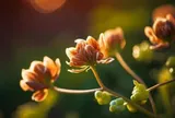 Quan hệ thân đến mấy cũng không giúp 3 việc, đó mới là thực sự khôn ngoan