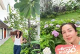 Vừa về biệt thự hoành tráng chưa tân gia, cặp đôi nổi tiếng showbiz đã thu hoạch trái bự, cẩm tú cầu ngập lối