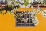 Người khi ăn luôn giữ 3 thói quen này, nếu gặp được hãy trân trọng suốt đời