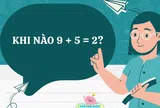 10 bài Toán tiểu học học cực “xoắn não”, giải trọn trong 1 phút chứng tỏ IQ không hề tầm thường