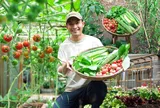 Sang Nhật Bản du học, chàng trai Gia Lai biến khu đất sau nhà thành vườn rau củ xanh mướt, mang đậm sắc Việt