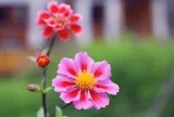 Người có tâm trạng tốt, phước báu tự khắc sâu dày