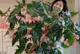 10 loài hoa nở suốt 3 tháng không rụng cánh, dễ chăm hơn cả hoa giả, người bận rộn cũng trồng được