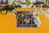 Hai người thực sự dẫn dắt bạn trong đời: Một người sưởi ấm, một người thức tỉnh