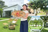 Cặp vợ chồng Lâm Đồng xây ngôi nhà phủ màu trắng giữa khu vườn rộng 6000m², chỉ 1,15 tỷ đồng nhưng đẹp như tranh