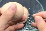 Chọc kim vào trứng rồi luộc, 10 người thì 9 người không hiểu có tác dụng gì, học một lần dùng cả đời