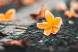 Người khôn ngoan biết 4 điều càng giữ miệng, gia đình càng êm ấm