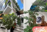 Mãn nhãn khu vườn xanh mướt bên trong cơ ngơi 1.000m2 của nữ diễn viên 4 con nổi tiếng showbiz Việt