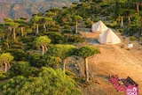 Bị lãng quên giữa đại dương, Socotra lại sở hữu vẻ đẹp khiến thế giới phải ngỡ ngàng.