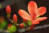 Những người không chịu nổi khi thấy bạn thành công không phải người ngoài mà là 4 kiểu người quen này
