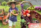 Khu vườn bội thu "khoác màu tím" đẹp mắt của ca sĩ Trọng Tấn tại biệt thự ngoại ô rộng 4.000m2 giữa đồi