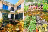 Nữ giáo viên rời Hà Nội về quê xây biệt thự vườn 600m², chi phí 4 tỷ, hồ cá trước nhà đẹp ngỡ ngàng