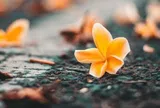 4 kiểu người dễ gặp quý nhân, được nâng đỡ trên đường đời
