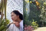Khu vườn đầy hoa thơm trái ngọt của "em gái Tăng Thanh Hà" ở Mỹ, trân trọng buồng chuối giữa xứ người
