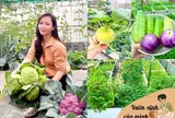 Mẹ đảm Bắc Ninh ban ngày làm nữ bác sĩ xinh đẹp, tối lên sân thượng làm nông dân, trồng khu vườn 50 triệu đẹp ngất ngây