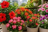 6 loài hoa nở quanh năm như "máy đẻ hoa", càng nhiều hoa càng vượng khí, lộc lá đầy sân