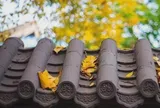3 điều bạn càng biết "hào phóng", cuộc đời sẽ càng có phúc