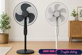Quạt 3 cánh và quạt 5 cánh cái nào mát, tiết kiệm điện hơn? Thiết bị thay thế này có nhiều ưu điểm vượt trội hơn