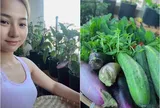 Diễn viên Khánh Hiền có khu vườn ban công nhỏ nhưng thu hoạch đã tay, "trông ngóng như chăm người yêu"