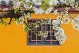 Cách đối phó khôn ngoan với người bạn ghét chính là không tính toán, cũng không tha thứ