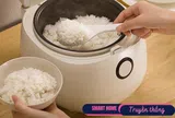 Tại sao ngày càng nhiều người không dùng nồi cơm điện? Thiết bị thay thế này đang được ưa chuộng hơn