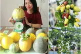 Mẹ đảm TP.HCM đầu tư tiền tỷ làm vườn sân thượng 80m² suốt hơn 10 năm, sưu tầm gần 90 giống hồng táo
