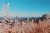 Mối quan hệ tốt đến mấy, 4 loại tiền mừng này tuyệt đối không nên đi