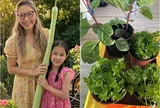 Vợ Đức Tiến và thú vui tuổi hưu sớm: Trồng thứ ở Việt Nam mọc đầy như cỏ dại nhưng sang Mỹ thành "của hiếm"