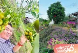 Biệt phủ 10.000m2 của nam diễn viên hài nổi tiếng showbiz ngập tràn đủ loại cây trái, gia chủ chỉ muốn về dưỡng già