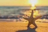 Người khôn ngoan biết kẻ càng thiếu bản lĩnh càng thích tỏ ra "hào phóng" ở 3 việc này