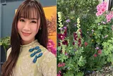 Khu vườn nở rộ tuyệt đẹp của Hoa hậu Dương Thùy Linh cảm giác như hoa tràn vào cửa, táo rụng đầy sân