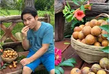 Ca sĩ Trọng Tấn thu hoạch ở biệt thự nhà vườn trước ngày mưa: Loại quả chua giòn mà ngon mát, ai nhìn cũng mê