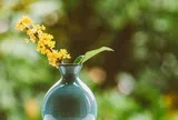 Phụ nữ thích tự làm 3 điều này cho chính mình không hề đơn giản, thực sự rất bản lĩnh