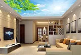 Xây nhà trần thạch cao dần lỗi thời? 4 thiết kế thay thế này nhà hiện đại rất chuộng vì vừa đẹp vừa tiện