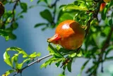 Khi ai đó không tôn trọng bạn, hãy nhớ kỹ 1 từ này, bạn sẽ là người chiến thắng