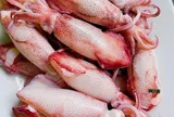 Luộc mực, nhớ đừng làm điều này khiến mực bong hết da, trông nhem nhuốc