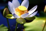 3 kiểu "người tốt" này còn đáng sợ hơn cả kẻ xấu